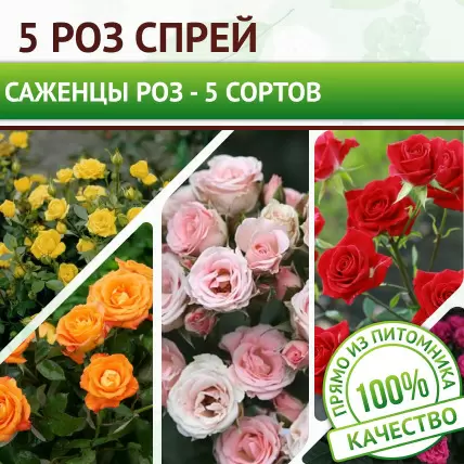 Освежитель воздуха Denkmit Rose Jasmin 150 мл